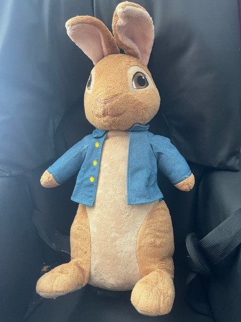 StAnnesCom's tweet photo. Making our clients feel at home is a key part of our person-centred care. Three weeks ago our Creykes Lodge service welcomed a new client who has a love for Peter Rabbit, so our amazing team stepped up and decorated her bedroom. Well done team! 👏 #proud #care #Charity #Rawcliffe https://t.co/JlHN16JdPL