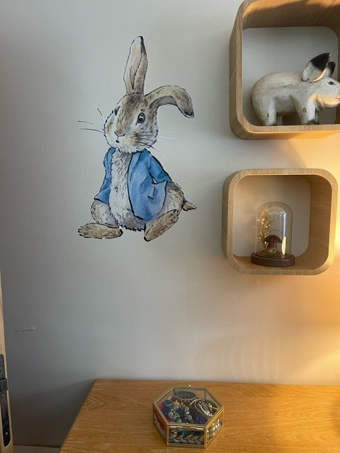 StAnnesCom's tweet photo. Making our clients feel at home is a key part of our person-centred care. Three weeks ago our Creykes Lodge service welcomed a new client who has a love for Peter Rabbit, so our amazing team stepped up and decorated her bedroom. Well done team! 👏 #proud #care #Charity #Rawcliffe https://t.co/JlHN16JdPL