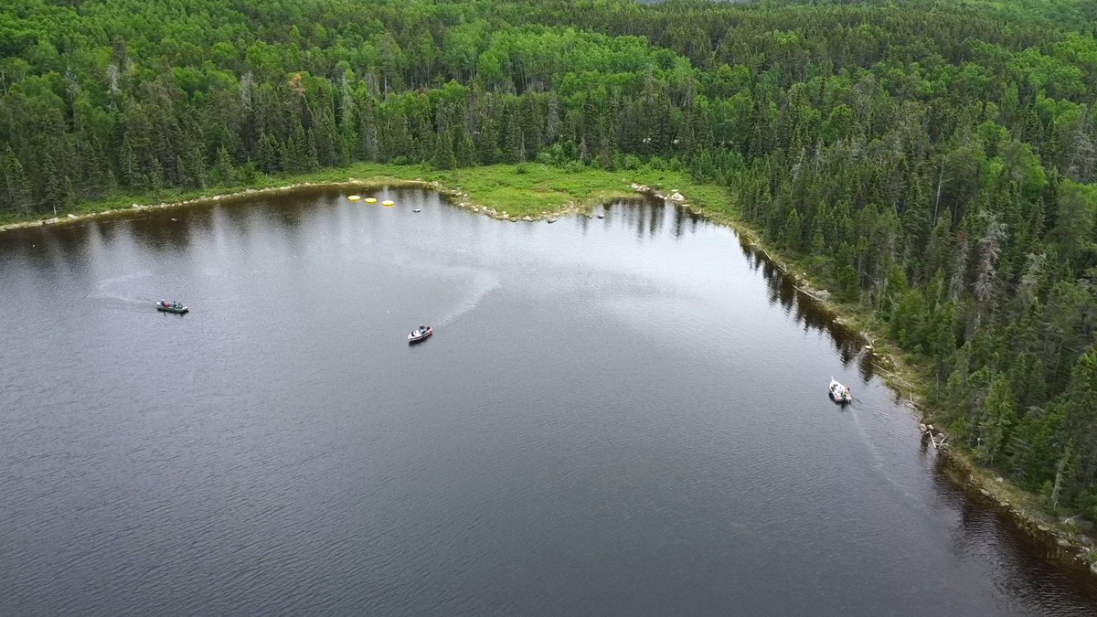 IISD Experimental Lakes Area (@iisd_ela) on Twitter photo Why did the freshwater scientist introduce plastics into a lake in NW Ontario?
Well, to discover the impact on freshwater lakes, of course...
<a href="/GlobalNational/">Global National</a> breaks it all down in under three minutes... bit.ly/3yBjUfa Why did the freshwater scientist introduce plastics into a lake in NW Ontario?
Well, to discover the impact on freshwater lakes, of course...
<a href="/GlobalNational/">Global National</a> breaks it all down in under three minutes... bit.ly/3yBjUfa
