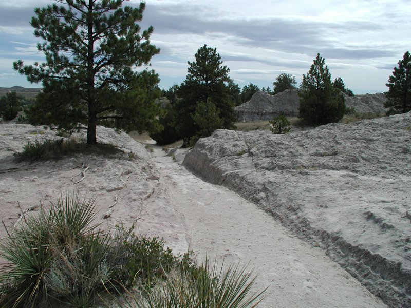 Lasting signs of the pioneers' journey west. #WednesdayinWyoming bit.ly/3M4bShN