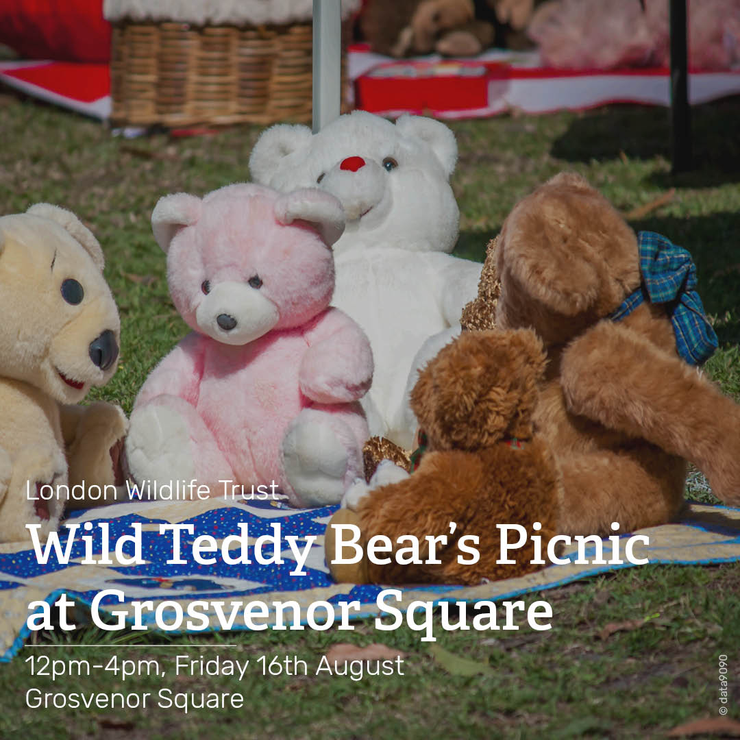 If you come down to the square today, be sure to bring your teddy bears and join @Wildlondon on Friday 16th August from 12pm-4pm for a free teddy bears wild picnic! We can’t wait to welcome you and your fuzzy friends! 🧸🍃 

For more details visit 👇 
bit.ly/3wzX72b