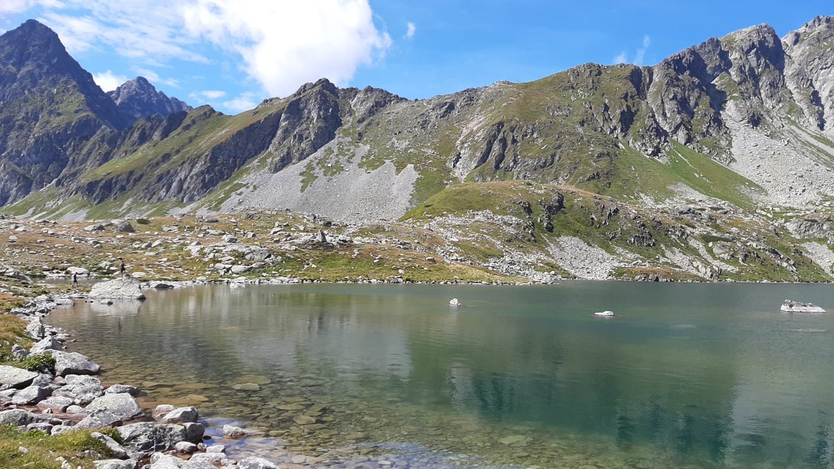 Eva___Mol's tweet photo. One of the mythical creatures in the Tatra mountains in Poland/Slovakia are the dziwożony, female demons with shining eyes who would steal potatoes and beer and snatch babies and women. You can ward them off by bellflowers. Luckily on the way to the top there were plenty! https://t.co/UugLrfEbNZ