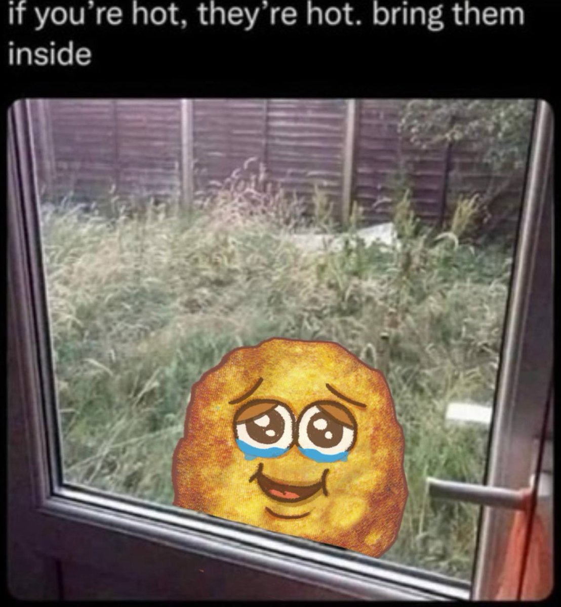 Almost time to bring this hot little #nuggie inside.

$nuggs