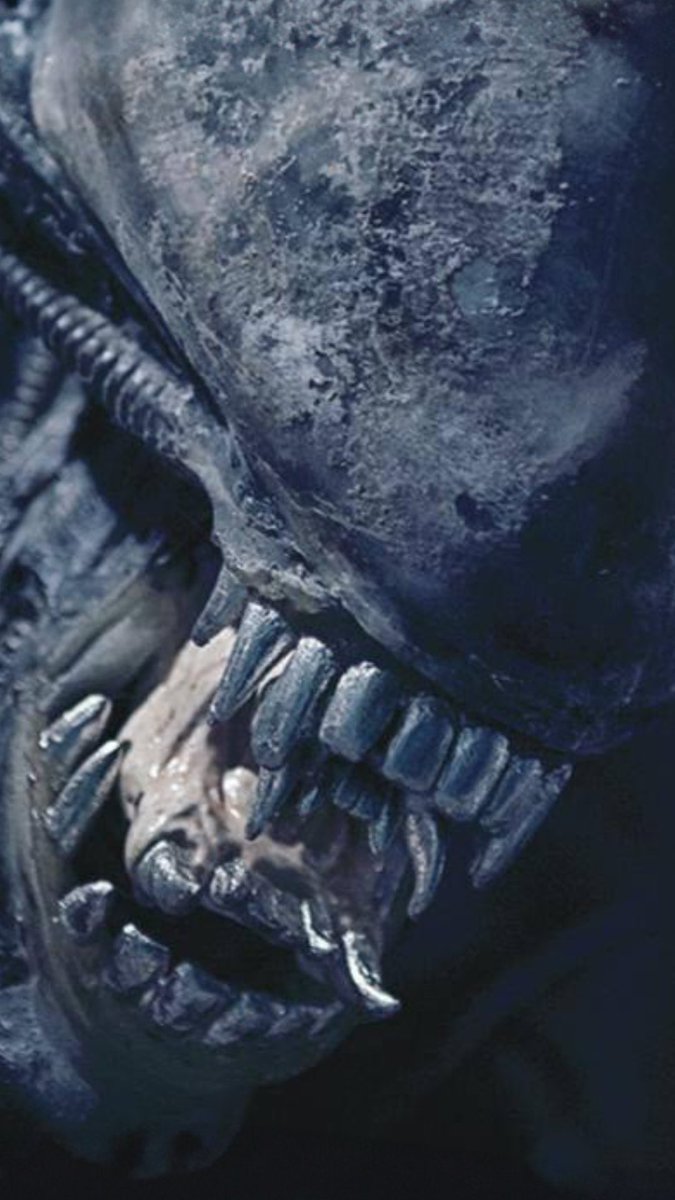 HR GIGER MUSEUM tweet media