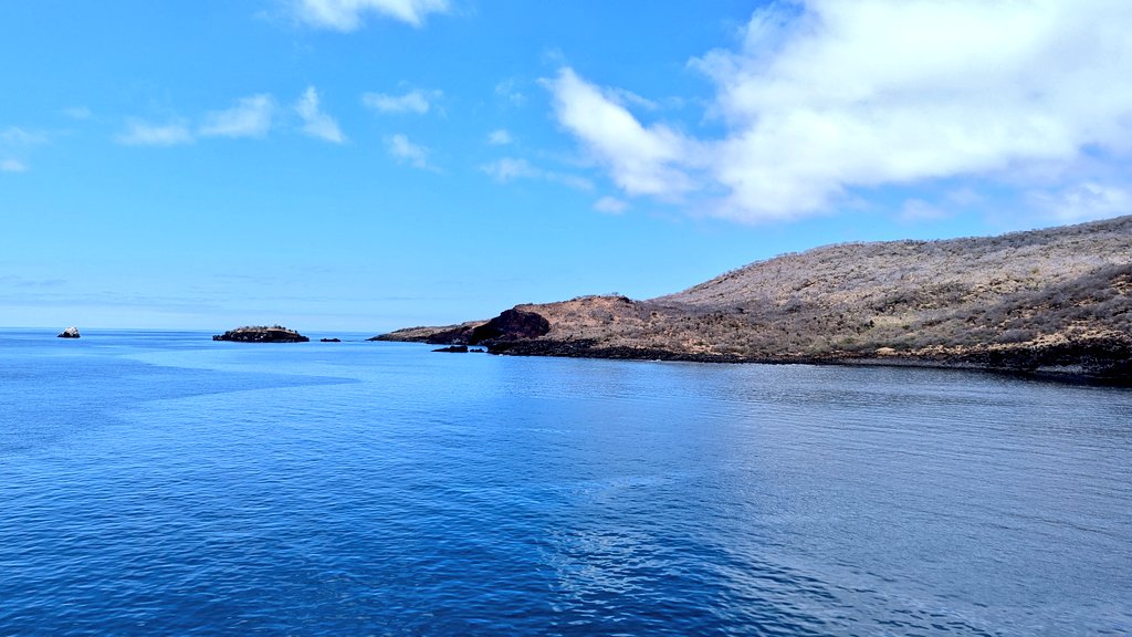 vickiemorgado1's tweet photo. Amazing morning in Santiago Island in #Galapagos got up early for a walk in Espumilla Beach. Then kayaked in Buccaneer Cove and then some snorkeling! Saw a lot of blue footed boobies #whereiexplore #educatorexplorer #grovenorteacherfellow https://t.co/WZoykzkvCB
