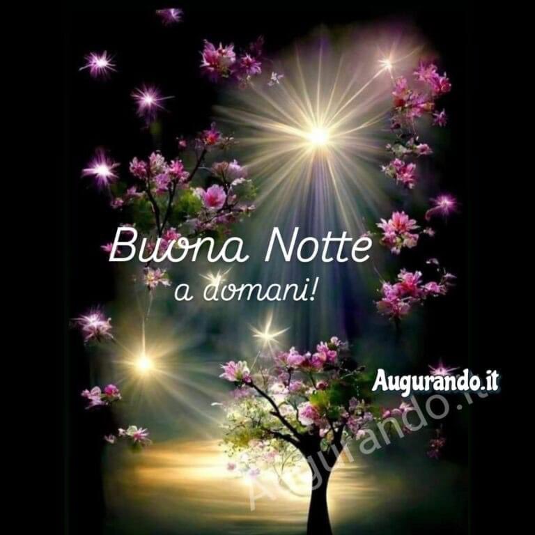 RITABIANCHi56 tweet media