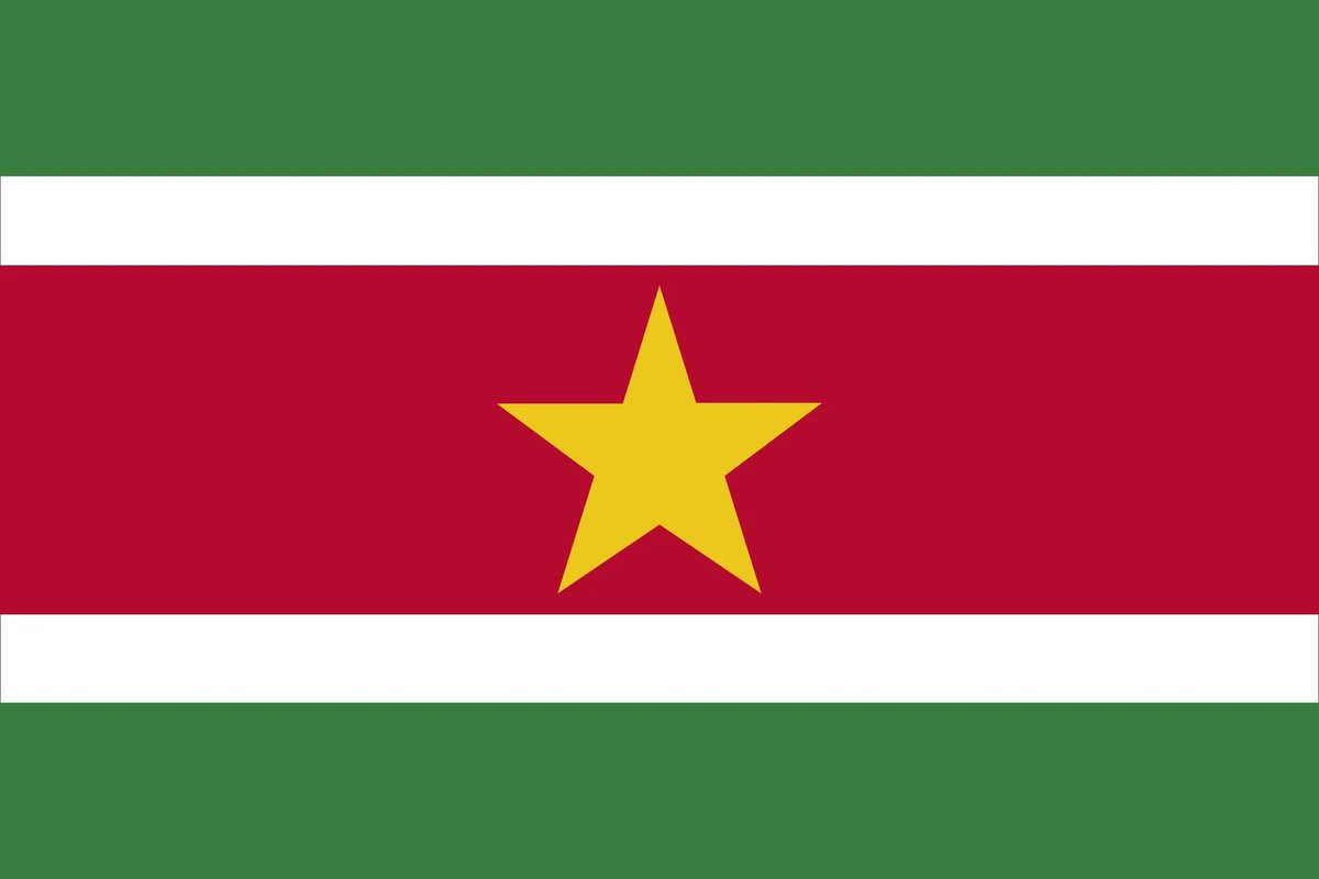 Flag #13