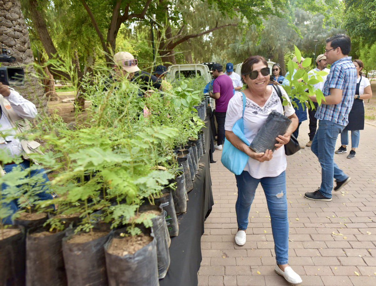 elmitoteromx's tweet photo. ¿Quieres plantar un árbol nativo?

 La Dirección de Parques y Jardines invita a quienes deseen sembrar un árbol nativo a acudir por uno al Vivero Municipal, el próximo sábado 17 de agosto.

La campaña de Servicios Públicos Municipales para fomentar la forestación en la ciudad llamada “Yo planto árbol nativo” ofrecerá de forma gratuita árboles de Amapa, Palo Verde, Palo Fierro Mezquite y Tronadora.

La cita es en el Vivero Municipal ubicado en la calle Morelia esquina con de la Palma, de la colonia Casa Blanca, de 9:00 a 12:00 horas. Se entregará una planta por persona, hasta agotar existencias.

Para dar a la jornada mayor orden y reducir los tiempos de espera, se recomienda hacer un registro previo en la página https://t.co/oPpeaw5YHq

#ElMitotero #hermosillo #Sonora