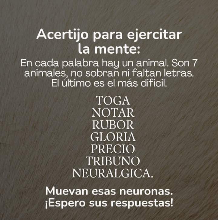 maribel Guerra (@maribel07923571) on Twitter photo 