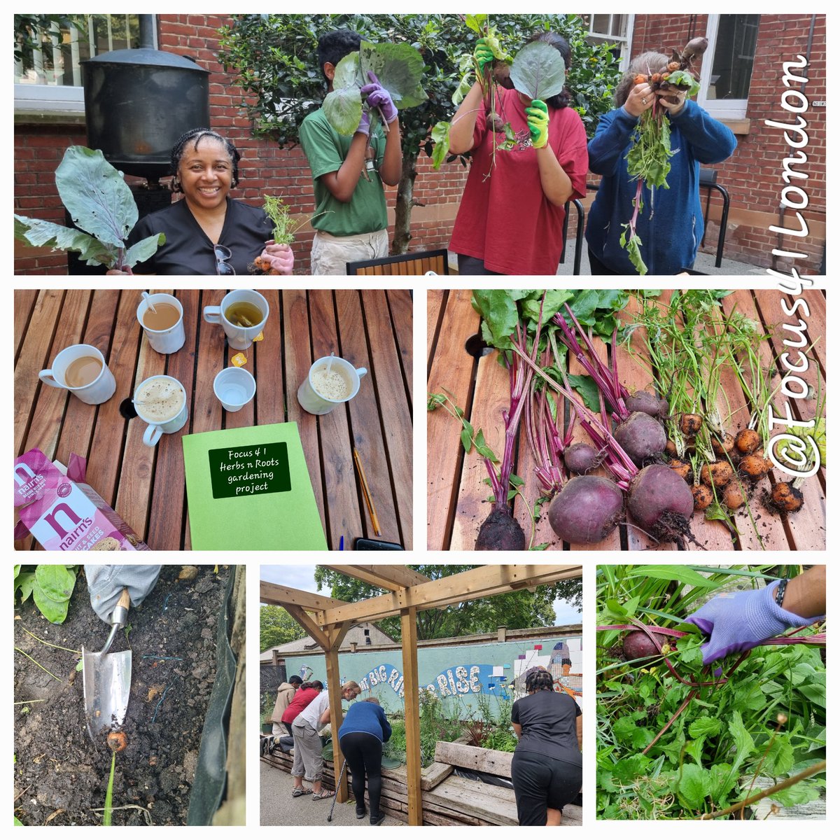 Focus 4 1 (@focus41london) on Twitter photo "The grounding exercise at the start of the workshop helped me be present and appreciate my surroundings. Fun time, determined to find the carrots. Added bonus of taking carrots, cabbage, and beetroot home to prepare and cook." #GardeningX #Wellbeing
<a href="/WimbledonFdn/">Wimbledon Foundation</a> <a href="/London_cf/">The London Community Foundation</a> "The grounding exercise at the start of the workshop helped me be present and appreciate my surroundings. Fun time, determined to find the carrots. Added bonus of taking carrots, cabbage, and beetroot home to prepare and cook." #GardeningX #Wellbeing
<a href="/WimbledonFdn/">Wimbledon Foundation</a> <a href="/London_cf/">The London Community Foundation</a>