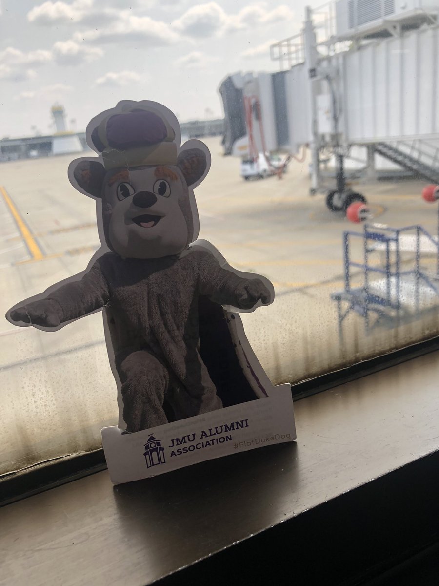 Where’s #FlatDukeDog, ever the jet-setter, off to next?