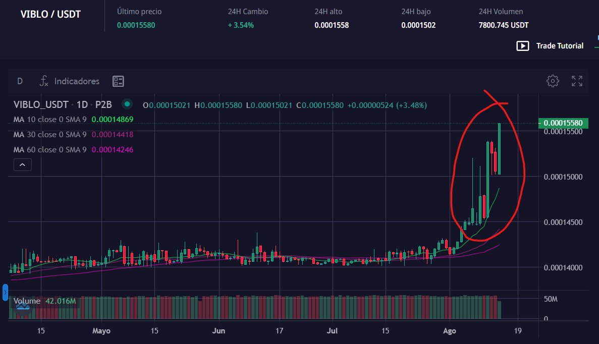 RaroRaroRaro's tweet photo. The project is back in action after CEO's announcement to link the token to successful trading accounts. A project that will fly in the near future! #Crypto #cryptocurrency #CryptoNews #Cryptoinvestor #CryptoInvesting #CryptoPayments #CryptoInvestors #cryptomarketing https://t.co/6H6XfEuntf