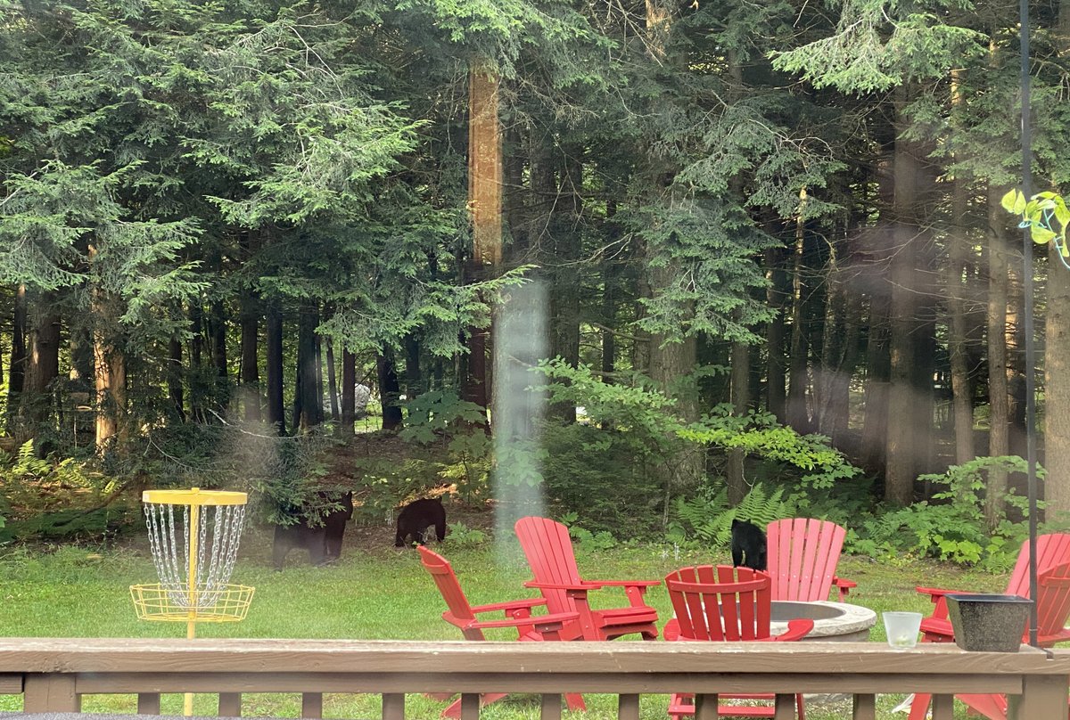 sshaolab's tweet image. Some favorite scenes from this year's lab retreat (with some special guests)!