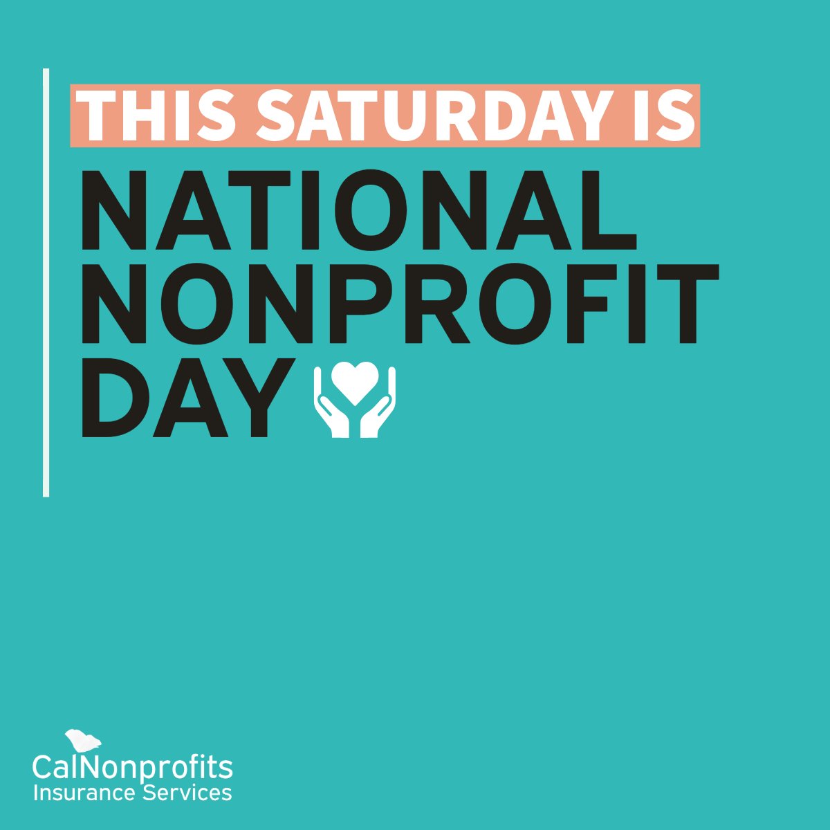 CAnonprofitsIns's tweet photo. This Saturday, August 17 is National Nonprofit Day! 📆

Nonprofit leaders, here are 5 ways you can celebrate and amplify your organization.

#nonprofitday #nationalnonprofitday #nonprofits #calnonprofits #cnis #calnonprofitsinsuranceservices #nonprofitwork https://t.co/aUE9z2C5ON
