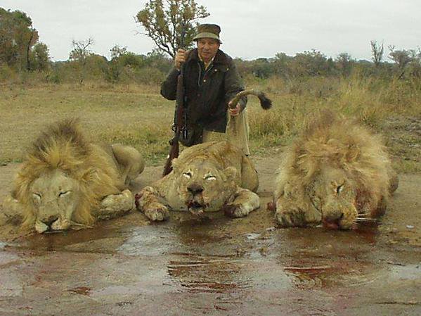 Protect_Wldlife's tweet photo. Not content with killing one Lion, this BASTARD found the need to slaughter THREE of them 🤬🤬!  

RT if you want a GLOBAL ban on #TrophyHunting NOW!!  

#BanTrophyHunting! 

@RickyGervais @PeterEgan6 https://t.co/qViBHYeuw1