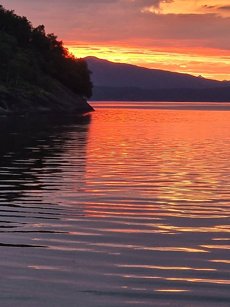 LiltleMee's tweet photo. #Tysfjord #Nordland #Nordnorge #Norway #sunset #sea #clouds #Reflection #mood #trees #blinkandmiss https://t.co/zaQZA6rznQ