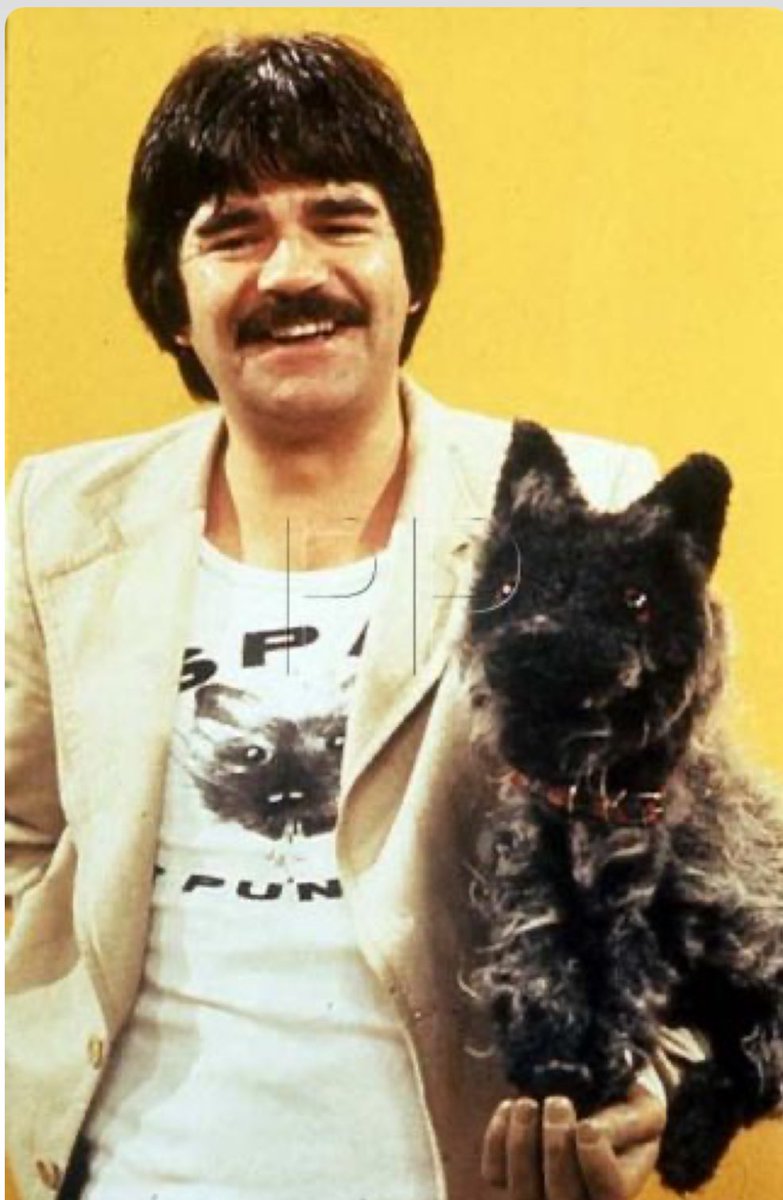 the cabinet of echoes tweet media