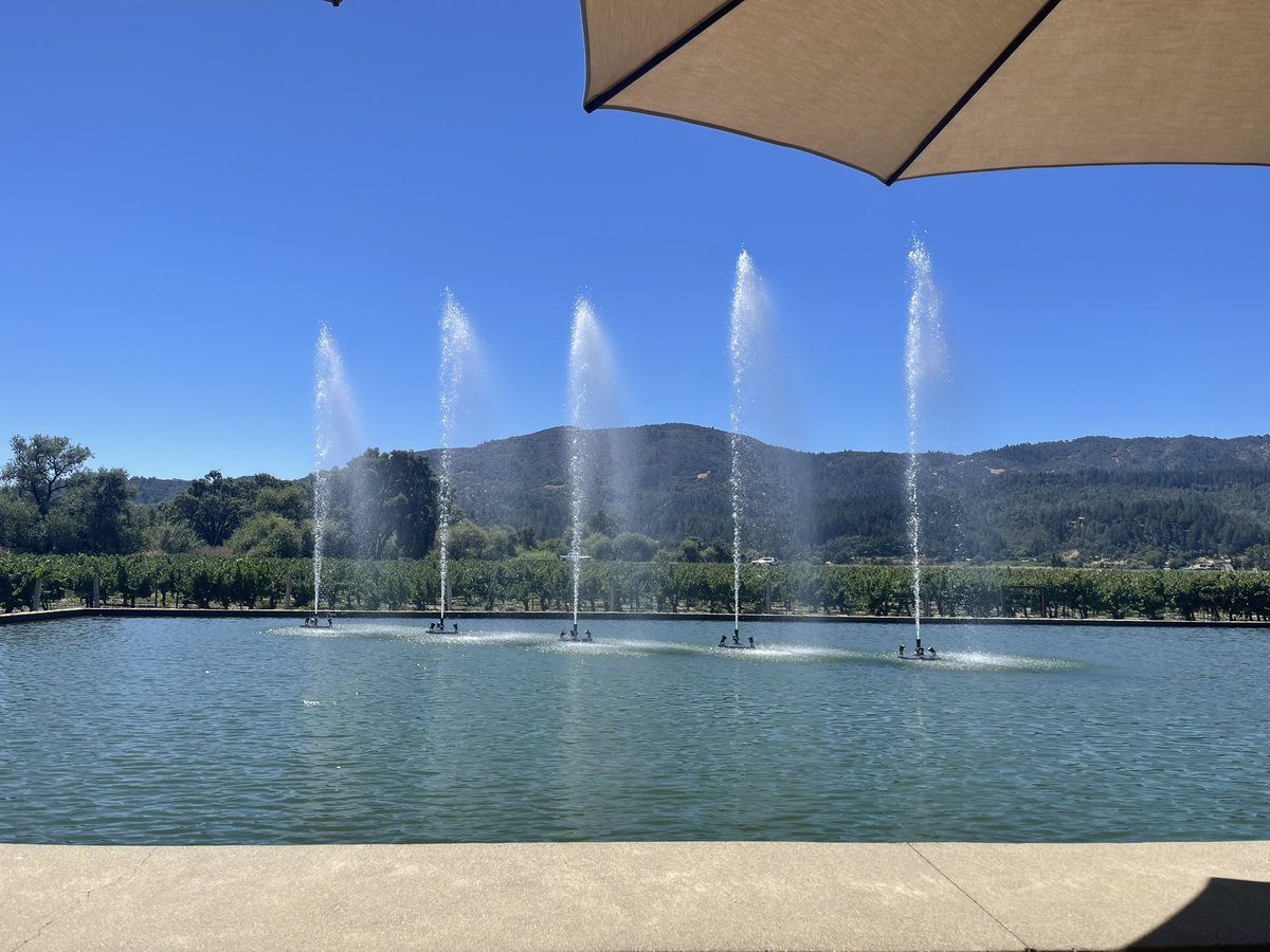Napa Valley. Alpha Omega Winery. Never disappoints 🍷