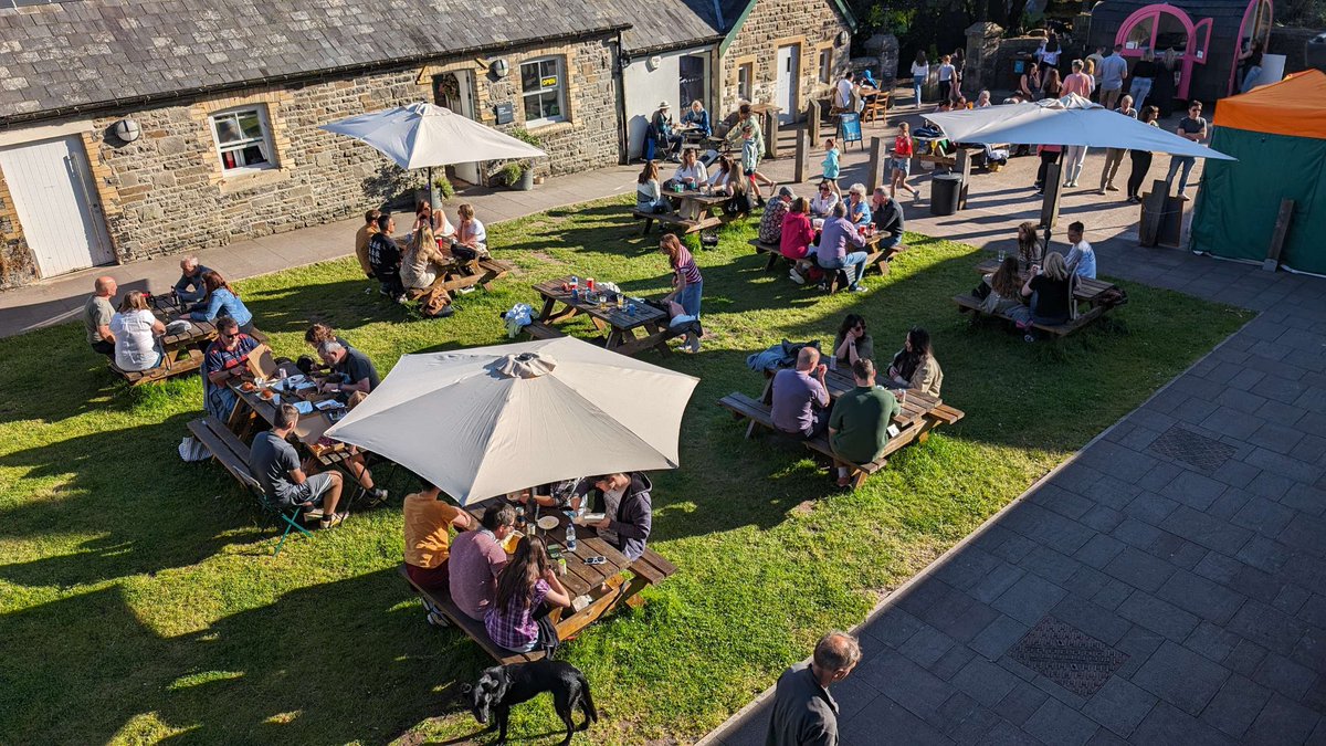 ceginhalfnhalf tweet media