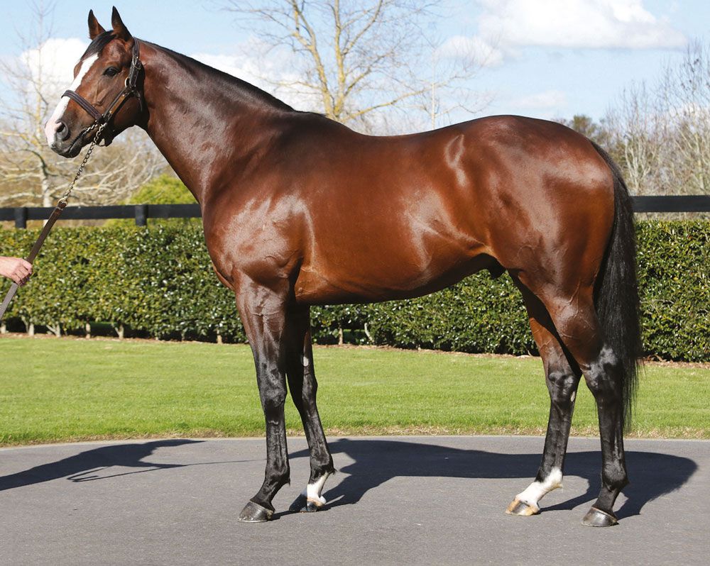 EBN (@bloodstocknews) on Twitter photo 💥 New Stakes winner for <a href="/BearstoneStud/">Bearstone Stud</a>'s BELARDO (pic) 💥
🥇 HIGH SPIRITED wins the LR Upavon Fillies' Stakes at <a href="/salisburyraces/">Salisbury Racecourse</a>. The 4YO filly is a grad of <a href="/Goffs1866/">Goffs</a> & <a href="/Tattersalls1766/">Tattersalls</a> and was most recently purchased by trainer Henry Candy from <a href="/OghillHouseStud/">Oghill House Stud</a> for 45,000gns. 💥 New Stakes winner for <a href="/BearstoneStud/">Bearstone Stud</a>'s BELARDO (pic) 💥
🥇 HIGH SPIRITED wins the LR Upavon Fillies' Stakes at <a href="/salisburyraces/">Salisbury Racecourse</a>. The 4YO filly is a grad of <a href="/Goffs1866/">Goffs</a> & <a href="/Tattersalls1766/">Tattersalls</a> and was most recently purchased by trainer Henry Candy from <a href="/OghillHouseStud/">Oghill House Stud</a> for 45,000gns.