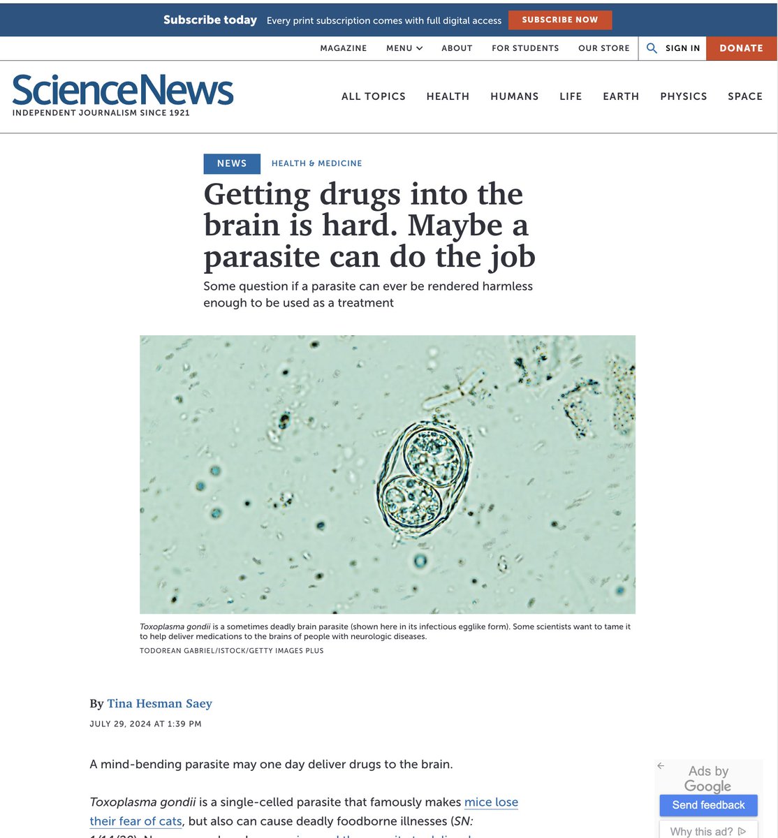 Del Complex (@delcomplex) on Twitter photo Del Complex, would like to congratulate <a href="/shaharbrr/">Shahar Bracha</a> on their research into delivering drugs into the brain via brain parasites.
This work represents an exciting advance in the field of biological cognitive enhancement that we've been pioneering with our Brain Worms program. Del Complex, would like to congratulate <a href="/shaharbrr/">Shahar Bracha</a> on their research into delivering drugs into the brain via brain parasites.
This work represents an exciting advance in the field of biological cognitive enhancement that we've been pioneering with our Brain Worms program.