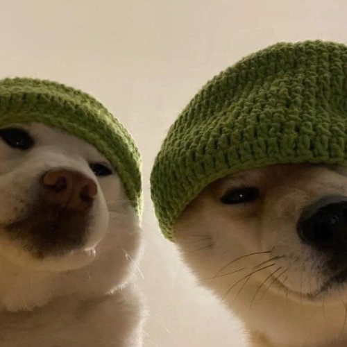 Convinced_Bro (@convinced_bro) on Twitter photo Imagine being an OG Wif holder and you see TWO DOG WIF HATS instead of one at #R4W
<a href="/dogwifcoin/">dogwifcoin</a> Imagine being an OG Wif holder and you see TWO DOG WIF HATS instead of one at #R4W
<a href="/dogwifcoin/">dogwifcoin</a>