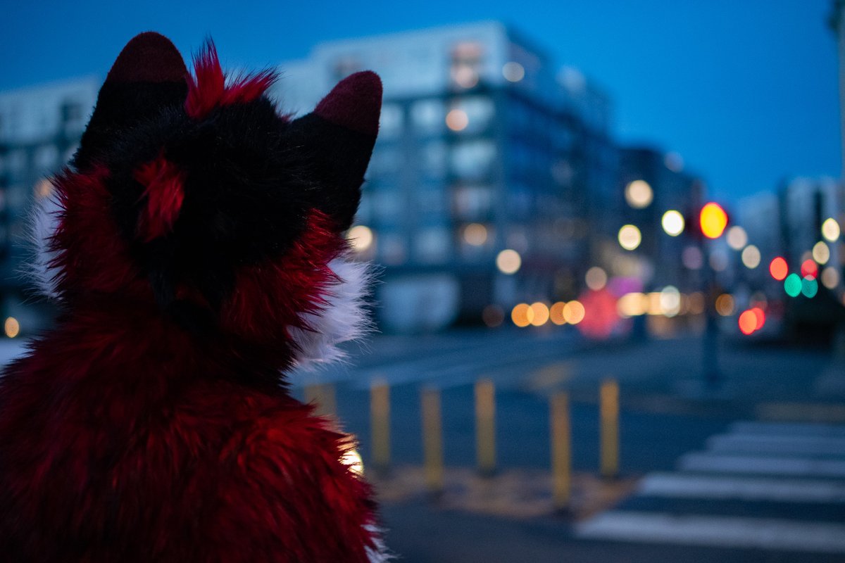 Wanderlust
📷<a href="/YaltaWuff/">🐺 Yalta Wuff 📷</a>