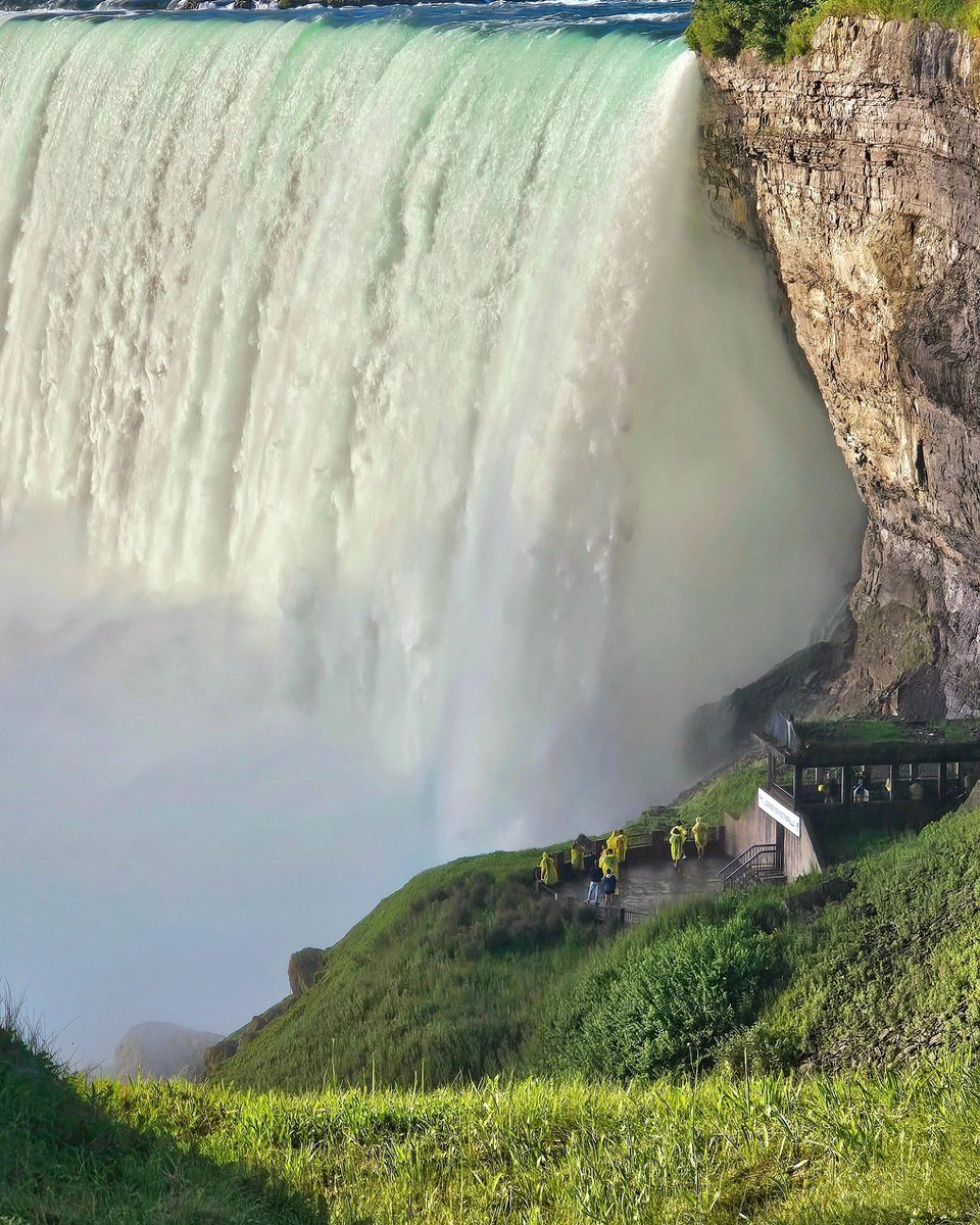 Kat_in_niagara's tweet photo. Different angles, but same morning light around 8am-ish this week-end. #waterfallwednesday #niagarafalls
#ShareYourWeather @ThePhotoHour
#StormHour #landscape #nature https://t.co/y5T8ixxdCB