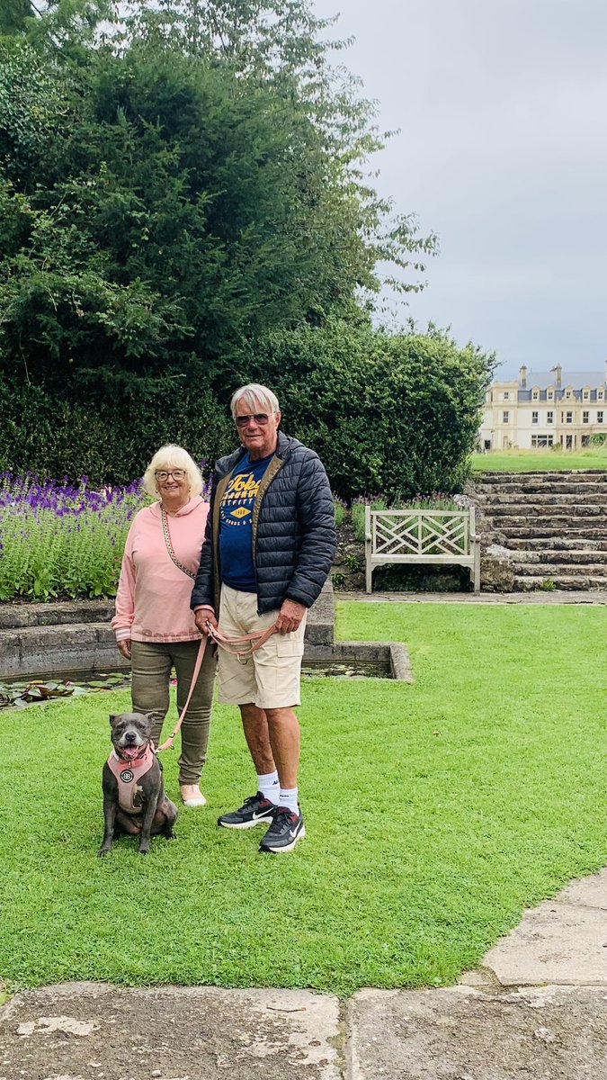 Isa Mary tweet media