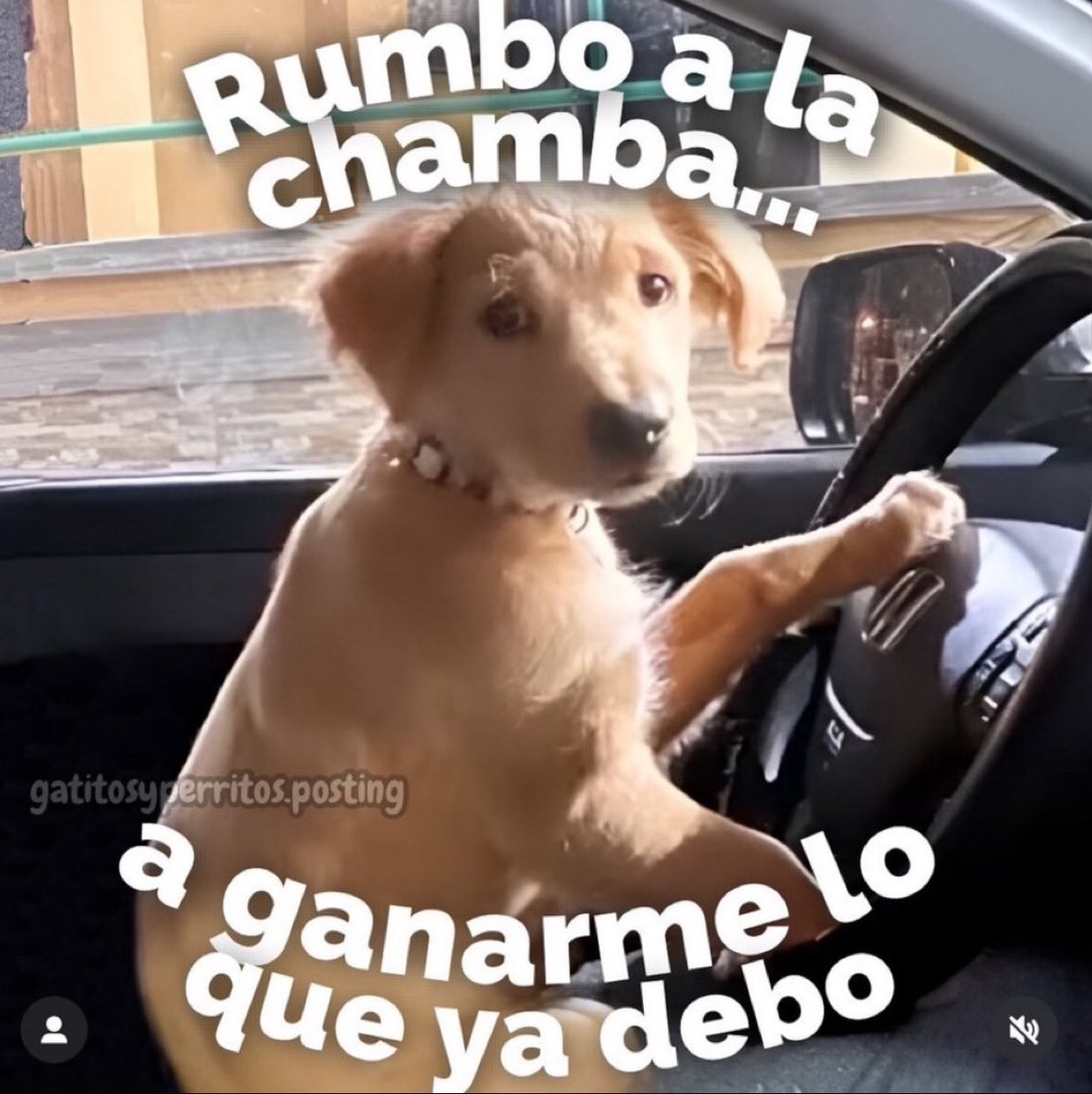 Todos los días.