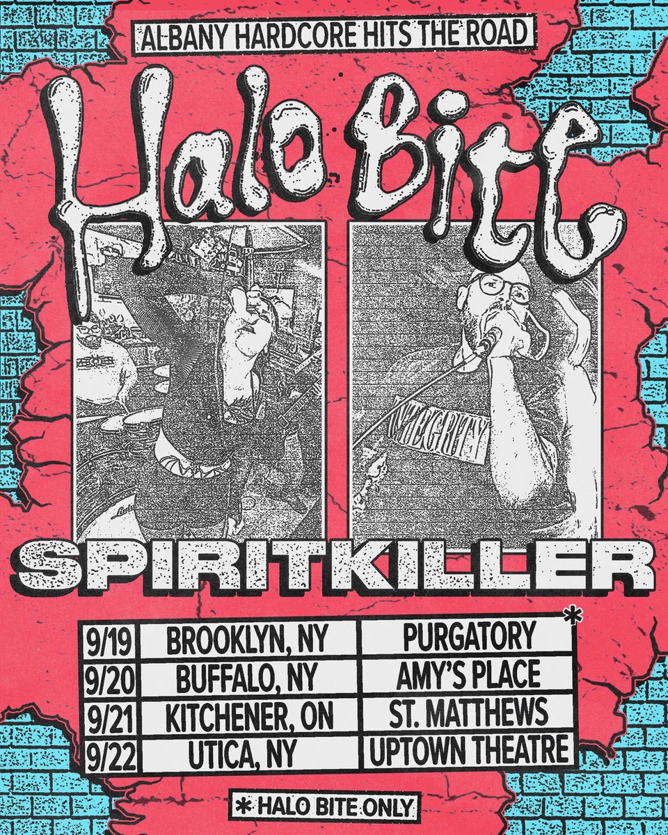 Halo Bite 👼🦍 tweet media