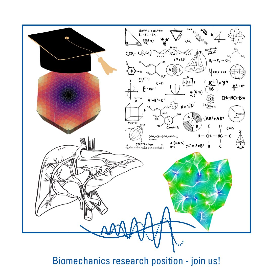 Uni Stuttgart ISD (@unistuttgartisd) on Twitter photo 🚀 Dive into biomechanics research! Join us at the ISD. Work on cutting-edge projects like modeling active biological tissues (liver focus) & explore ML, simulation, & more! Contact: office@isd.uni-stuttgart.de 🌟 #ResearchOpportunity #Biomechanics 🚀 Dive into biomechanics research! Join us at the ISD. Work on cutting-edge projects like modeling active biological tissues (liver focus) & explore ML, simulation, & more! Contact: office@isd.uni-stuttgart.de 🌟 #ResearchOpportunity #Biomechanics