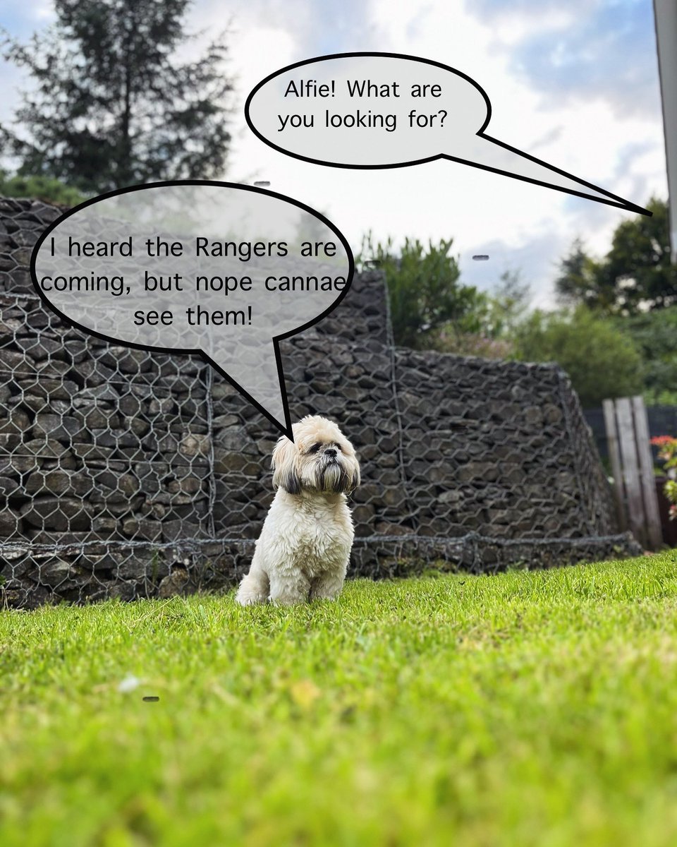 Caproni (@markcaproni) on Twitter photo 