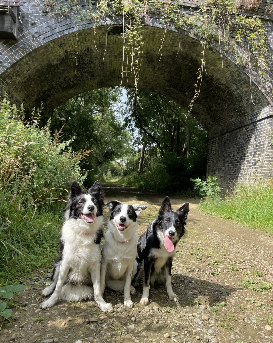 5920 followers. Thank you all so much. When I started this page I had no idea there were so many wonderful people who’d enjoy our travels. It really means a lot! Thank you from us! 🐾🚂