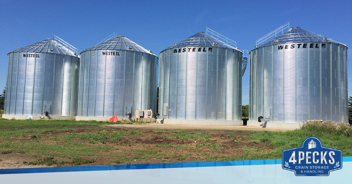 4PecksGrain's tweet image. Did you know we offer leasing options? 
Partnering with leasing companies, we make it easier for you to implement your grain storage plan. Contact us for more details! ☎️ 844-414-1419

#4Pecks #LeasingOptions #GrainStorage