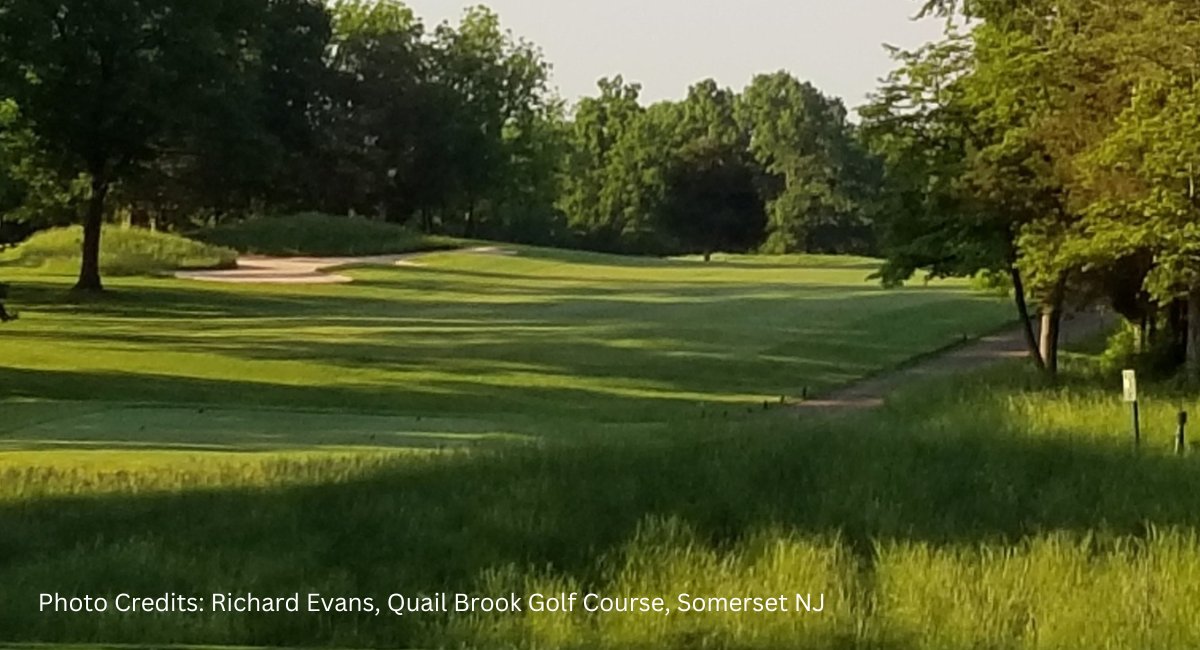 RU_Turf_Program's tweet image. It's National Golf Month. Celebrate today by taking the next step in your turf career and applying for the Rutgers Professional Golf Turf Management School: Two-Year Certificate Program. #RUTurf #RutgersOCPE #NationalGolfMonth
conta.cc/46KD3YP
