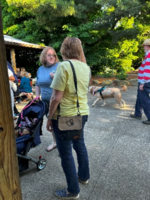 WoofPackTrails's tweet photo. Happy WoofPack Wednesday ๐พ we see WoofPack users everywhere! This WoofPack fan is wearing one of our most popular designs โผ Get yours at https://t.co/6A19xu4OpP โก
#WoofPack #dogaccessory #Summer #love #dogs https://t.co/qh0OOJf1IU