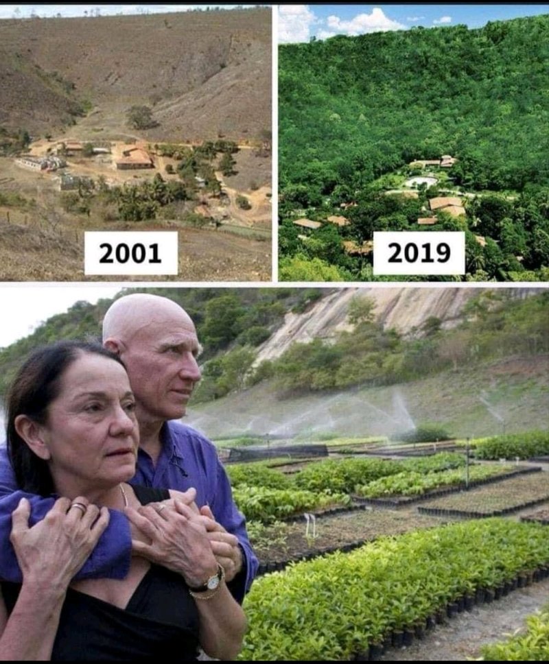 ShridhantS's tweet photo. What a amazing work in this couple
Wow 😳 dry weather convert to wet weather.
As much as we used the earth 🌎 product , we should to return them to the Earth .🌎
That's Humanity.
#Tree
#Savetree
#safeearth https://t.co/faO7Tsesq7