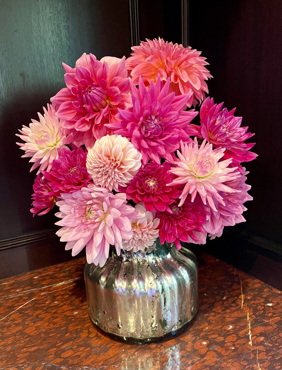 Heather Thomas tweet media