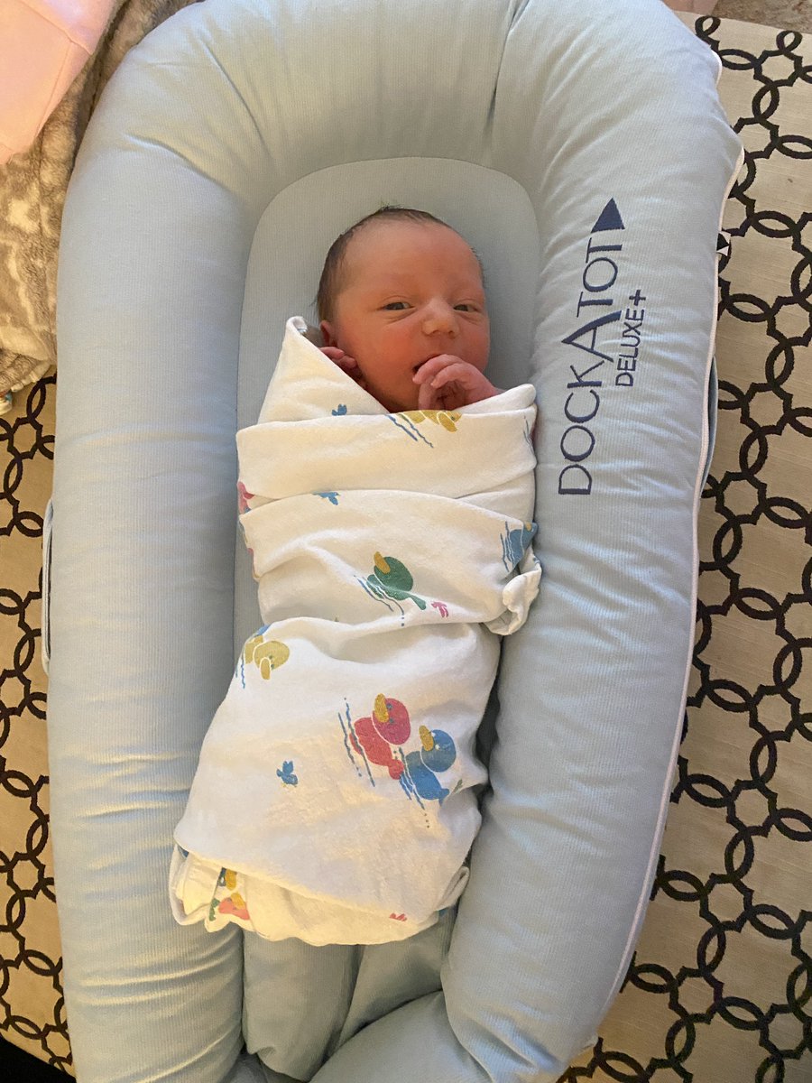 Maggie Carter tweet media