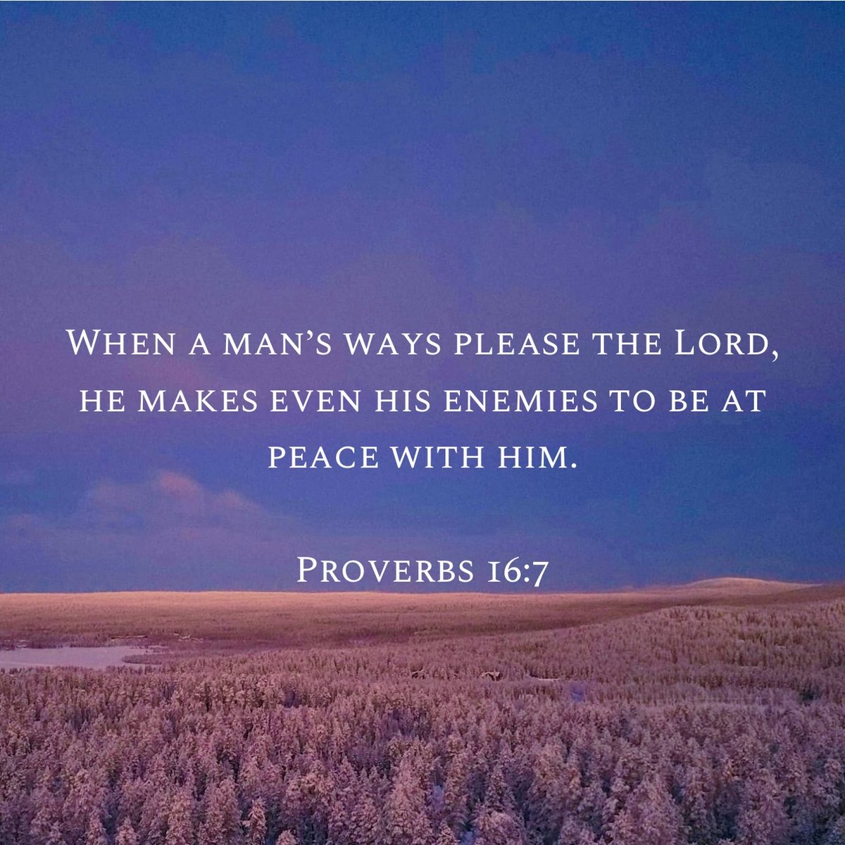 Teddy Bichon tweet media