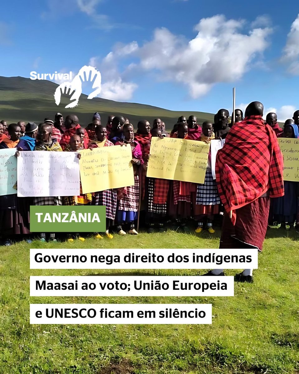 SurvivalBrasil's tweet photo. 🇹🇿🚨URGENTE: em Ngorongoro na Tanzânia, indígenas #Maasai estão enfrentando mais uma grave injustiça. O governo, que já vem sistematicamente negando direitos básicos aos Maasai, como o direito à terra, saúde e educação, agora está negando o direito ao voto.

#MaasaiShallNotDie
👇 https://t.co/P47AbaTdLB