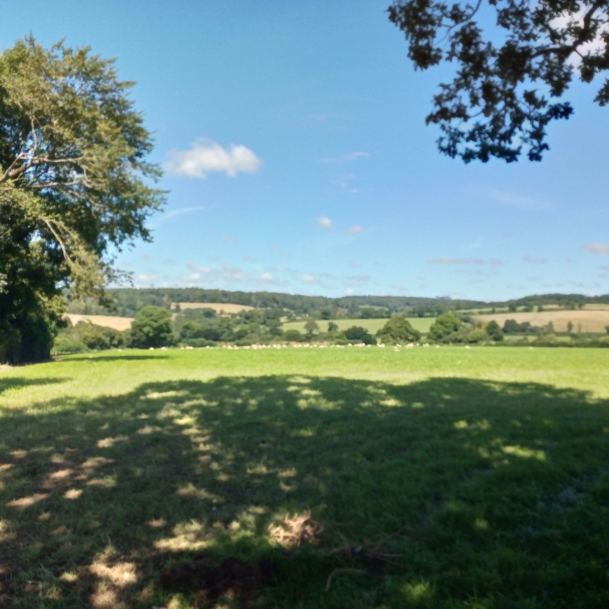 timryansummit2s's tweet photo. Great day for a Cornish #slowway from Lostwithiel to Liskeard LOSLIS(2). https://t.co/7JO9Wo53Oz