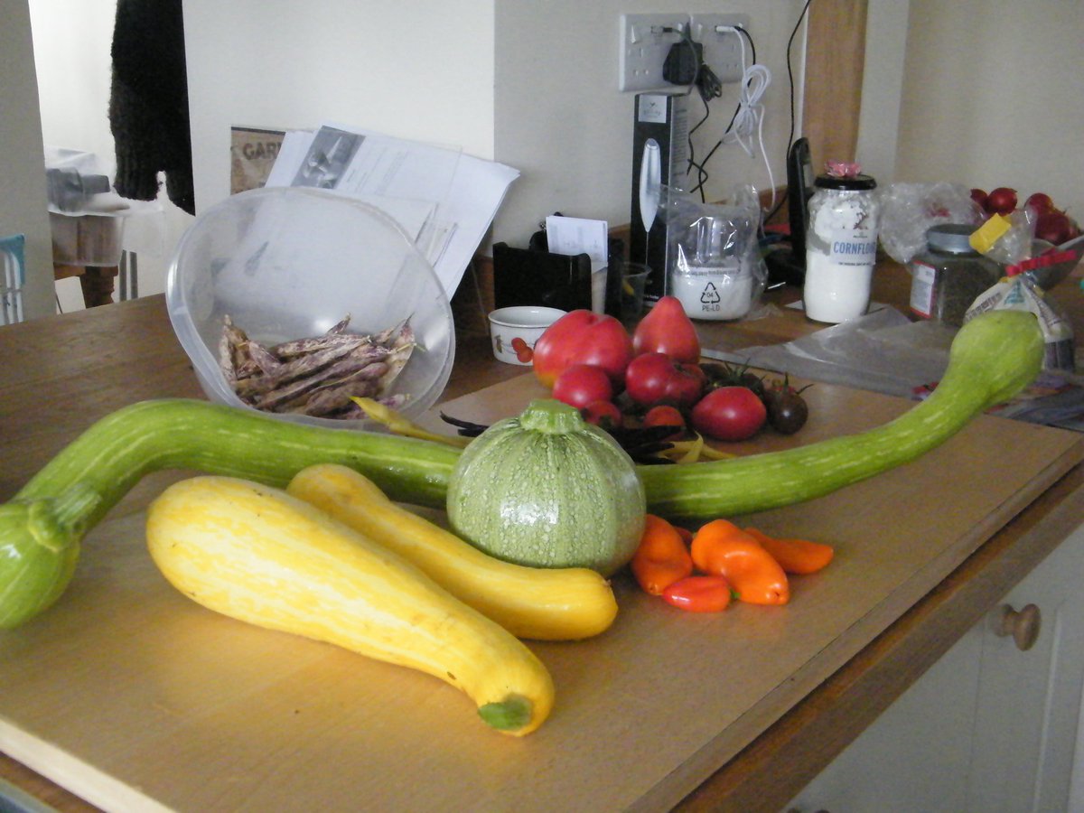 Eden Garden Services 🌱 tweet media