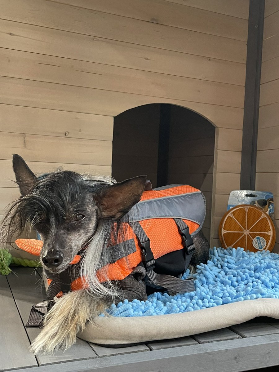 ¿Llegaron las vacaciones? ¡Si y en #maxipet lo sabemos!

Visítanos y equipa a tu peludito Para estas vacaciones 😎

#maxipet #caracas #vaciones