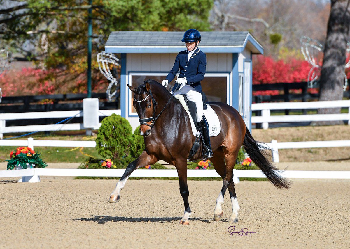 It’s almost championship season! 🏆 USDF is excited to announce expanded classes at the 2024 US Dressage Finals presented by Adequan® and the return of the renamed Dressage in the Bluegrass.

Read more about the exciting new changes &amp; opportunities here: usdf.org/e-news/august2…