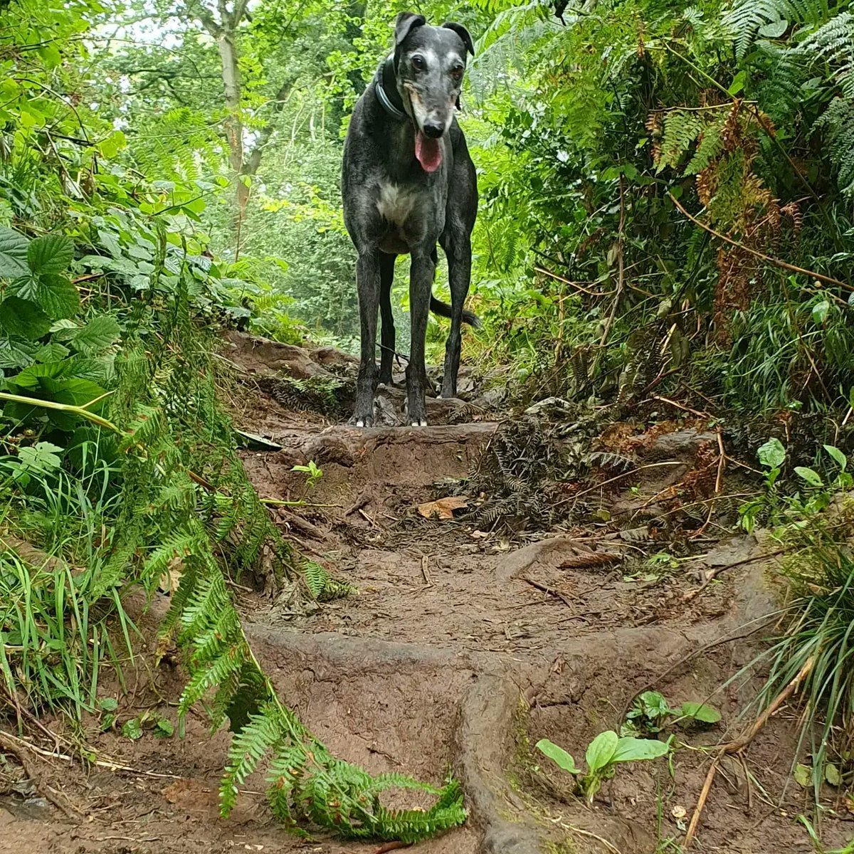 Eden Garden Services 🌱 tweet media