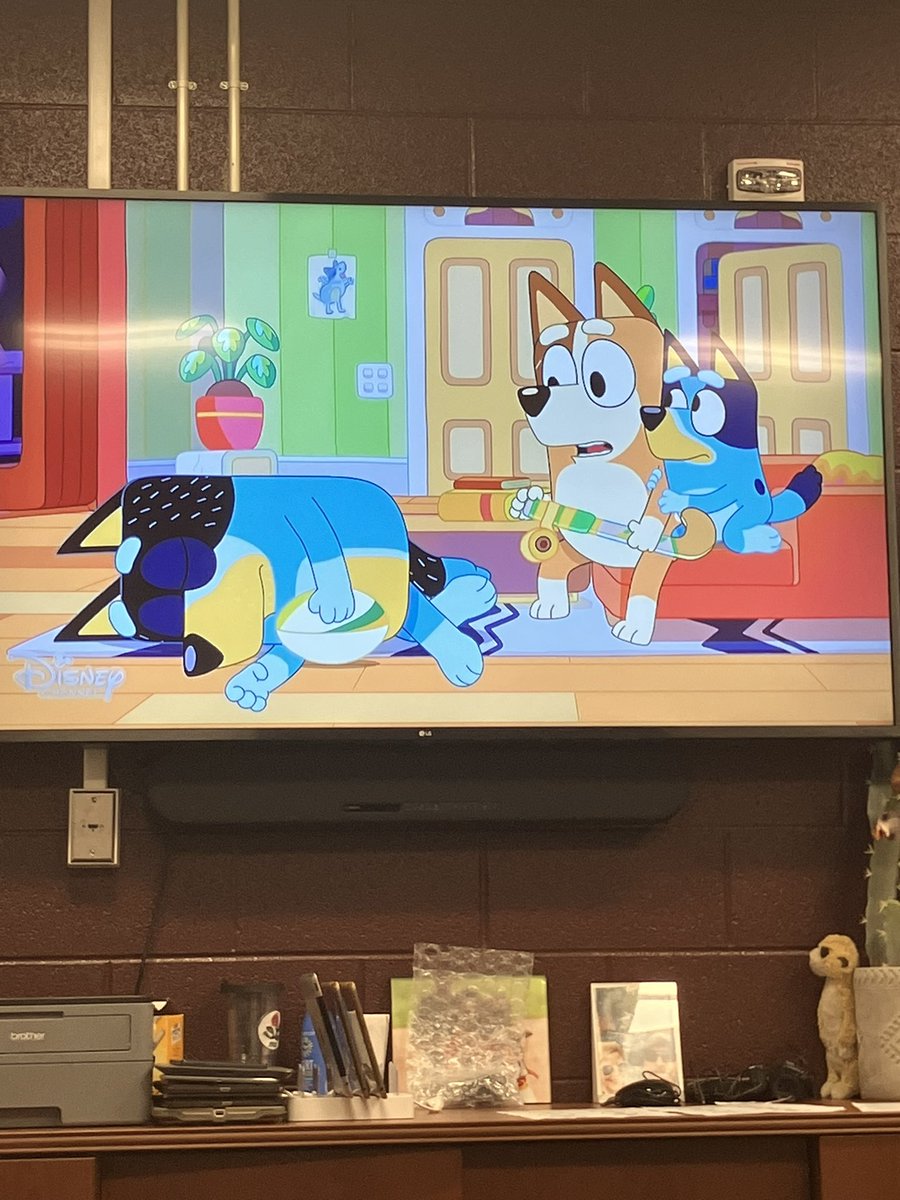 Scouting with Coach Jumboooooo today.

<a href="/HuemulMata/">Huemul Mata</a>