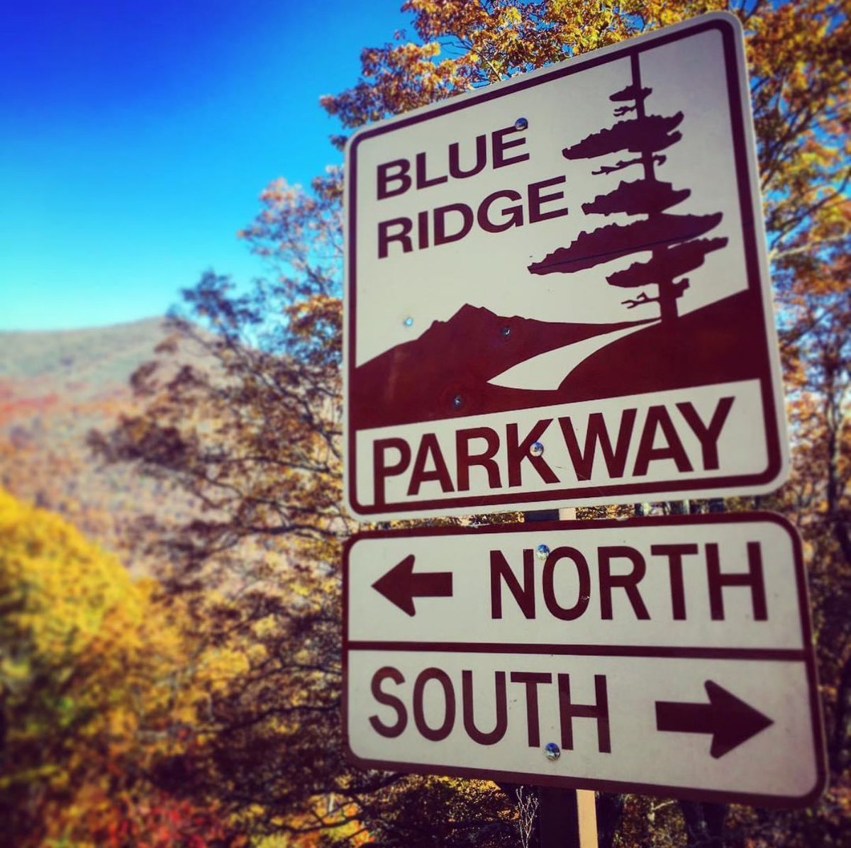 Practical Astrology ⛩️ (@practicalastros) on Twitter photo Since #asheville is trending, check out some kick ass Avl bands @Drunken_Prayer <a href="/TownMountain/">Town Mountain</a> <a href="/EmpireStrikesB/">Empire Strikes Brass</a> <a href="/sonsofralph/">Sons of Ralph</a> <a href="/amiwhoa/">Ami Worthen</a> Since #asheville is trending, check out some kick ass Avl bands @Drunken_Prayer <a href="/TownMountain/">Town Mountain</a> <a href="/EmpireStrikesB/">Empire Strikes Brass</a> <a href="/sonsofralph/">Sons of Ralph</a> <a href="/amiwhoa/">Ami Worthen</a>