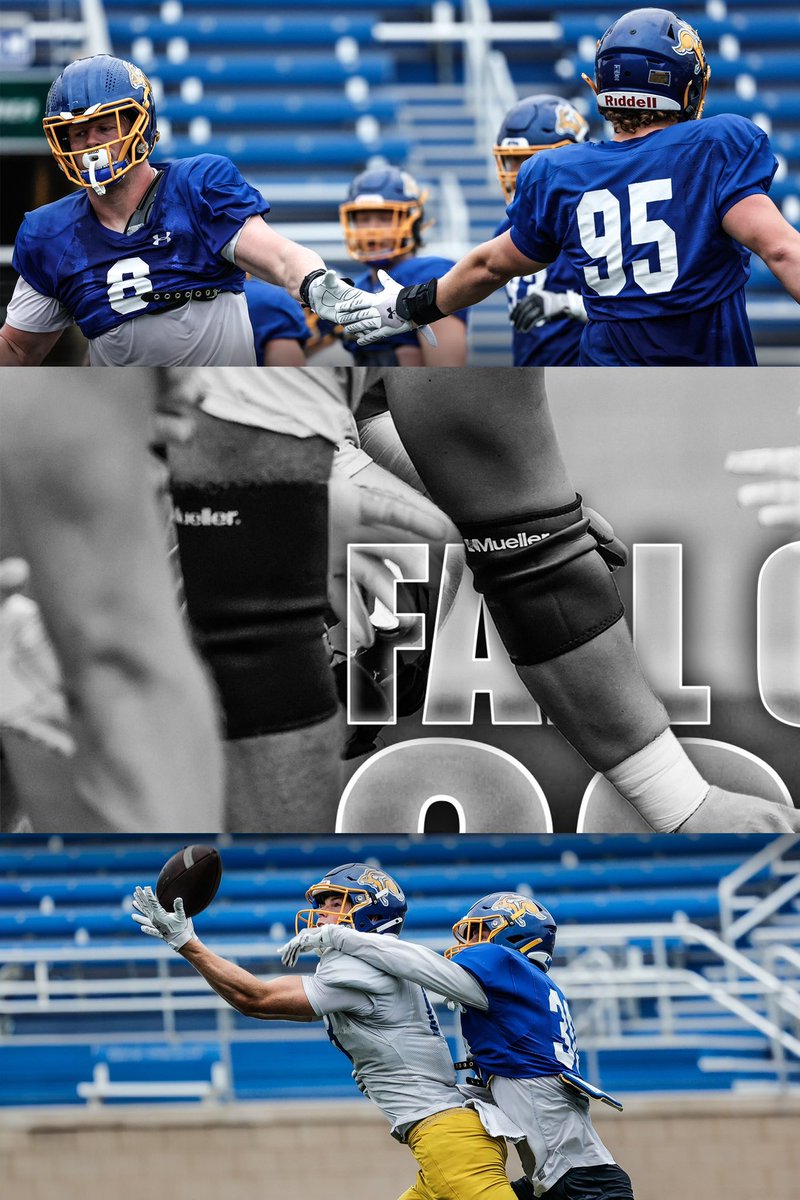 GoJacksFB's tweet image. Focused. 

#GoJacks 🐰🏈